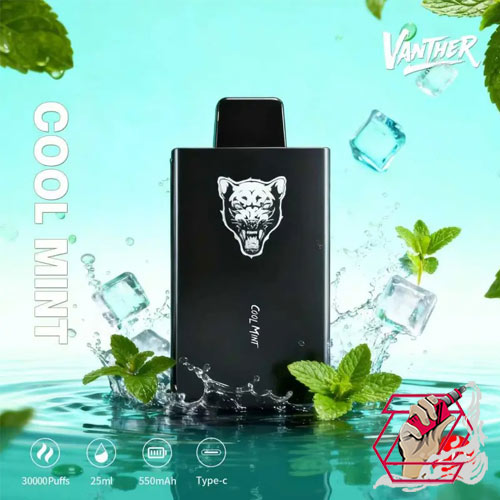 خرید ویپ 30000 پاف وانتر Vanther Bar 30000 Puffs